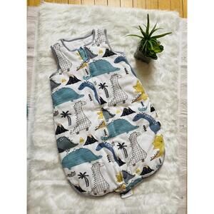 Dinosaur Sleep Sack